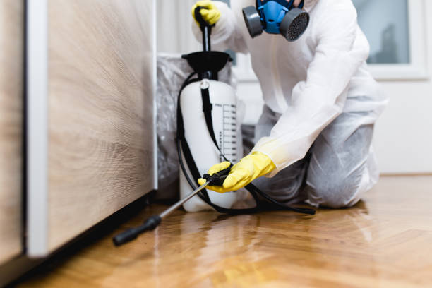 Best Wasp Removal Services  in Stanhope, NJ