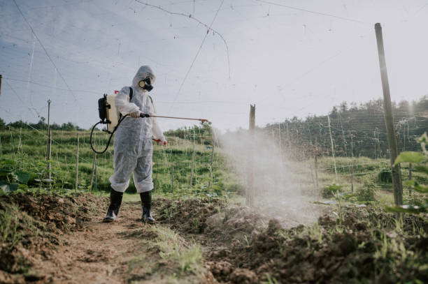 Best Ant Control Services  in Stanhope, NJ
