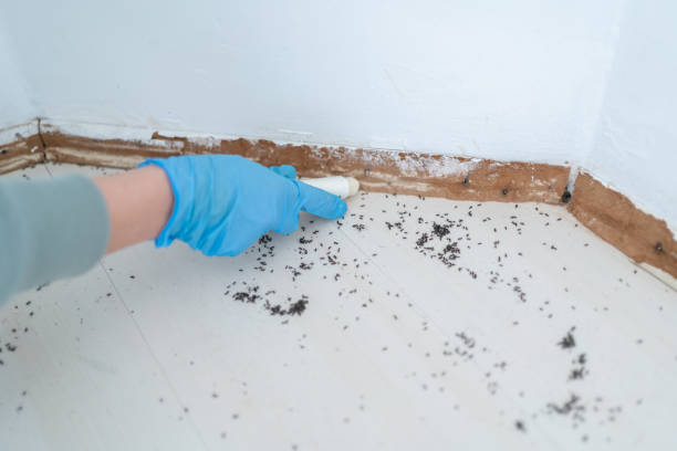 Professional Pest Control in Stanhope, NJ